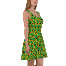 Load image into Gallery viewer, Neo-Don &#39;JamRas&#39; Skater Dress - 4