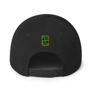 Neo-Don 'Jam' Snapback Hat