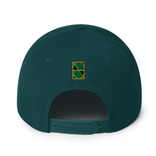 Load image into Gallery viewer, Neo-Don &#39;Jam&#39; Snapback Hat